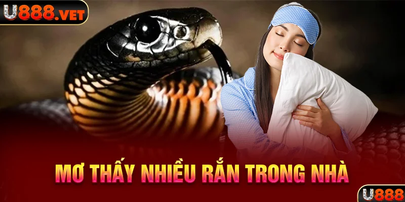 Mơ thấy nhiều rắn trong nhà