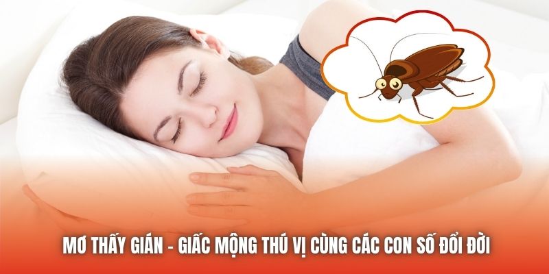 Mơ Thấy Gián - Giấc Mộng Thú Vị Cùng Các Con Số Đổi Đời