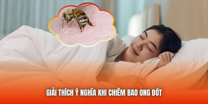 Giải thích ý nghĩa khi chiêm bao ong đốt