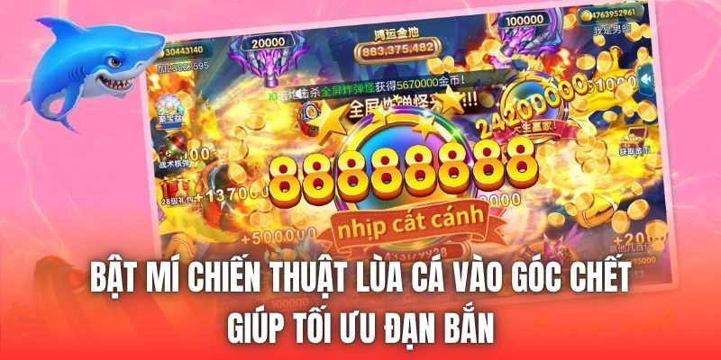 Bật Mí Chiến Thuật Lùa Cá Vào Góc Chết Giúp Tối Ưu Đạn Bắn
